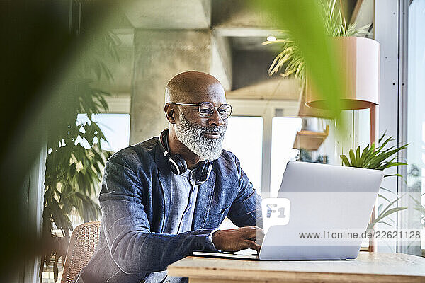 Mature businessman working from home on laptop