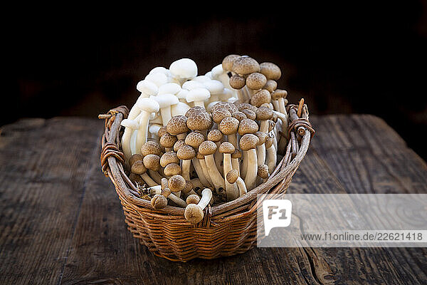 White and brown Shimeji mushrooms in a willow basket on a wooden table