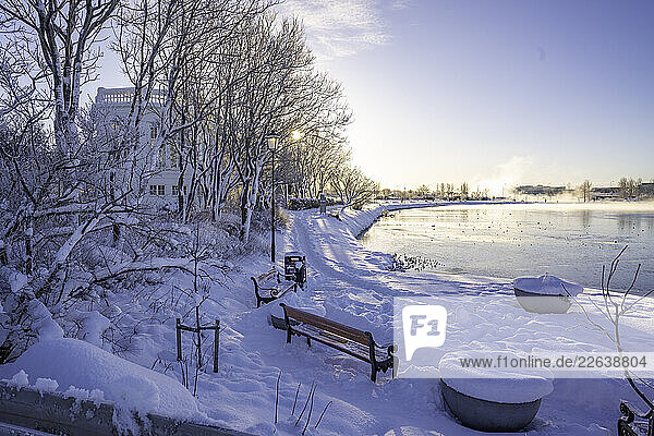 View of Tjornin park and Pavillion on a sunny day in winter  Reykjavik  Iceland