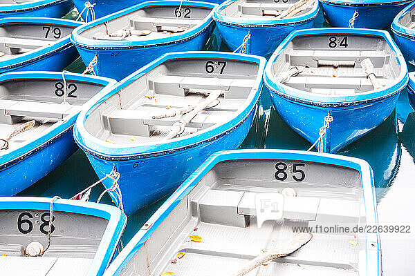 A detailed view of blue rowboats docked on the Arashiyama River in Kyoto  Honshu  Japan