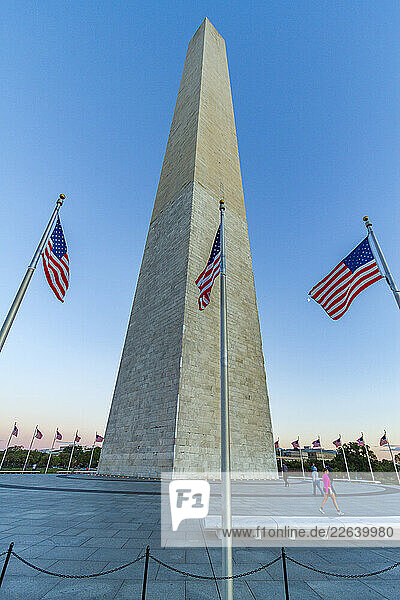 American flags surrounding the Washington Monument in Washington  D.C.  United States of America