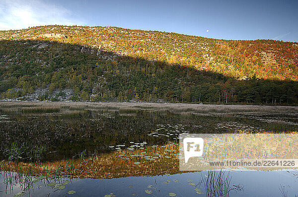 The Farn Lake  Acadia National Park  Mount Desert Island  Maine  USA