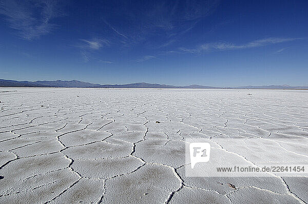 Salinas Grandes near Tres Morros  Salt Flats  Jujuy  Argentina  South America