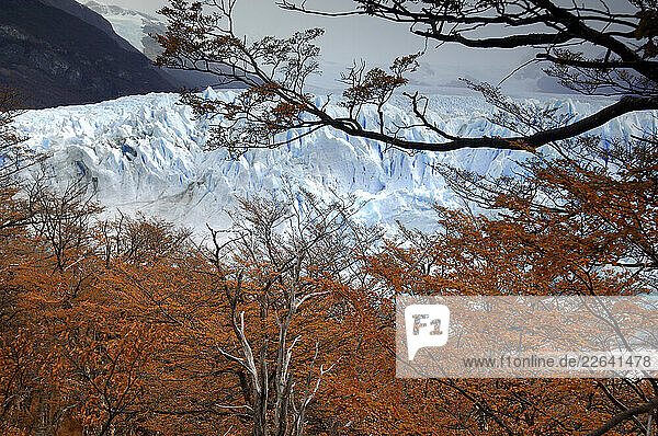 Glacier Perito Moreno  Ventisquero  Parque Nacional Los Glaciares  El Calafate  Santa Cruz  Patagonia  Argentina