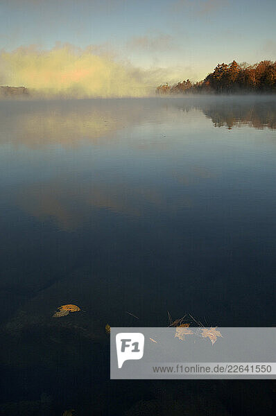 Laurel Lake with morning Fog  Lee  Massachusetts  USA
