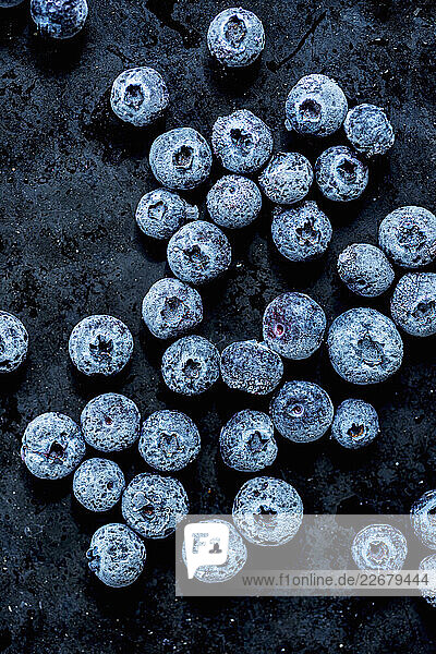 Gefrorene Blaubeeren auf dunklem Untergrund