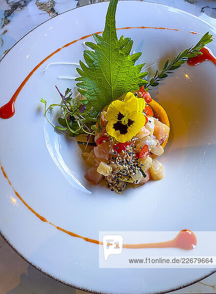 Ceviche mit Makrele  Sardine und Zackenbarsch