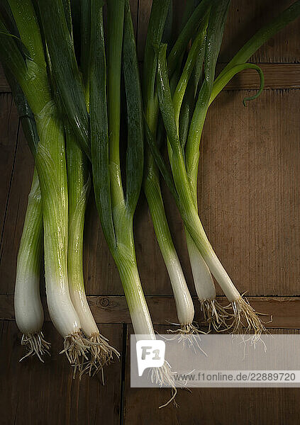 Bunch of scallions against rough cutting board