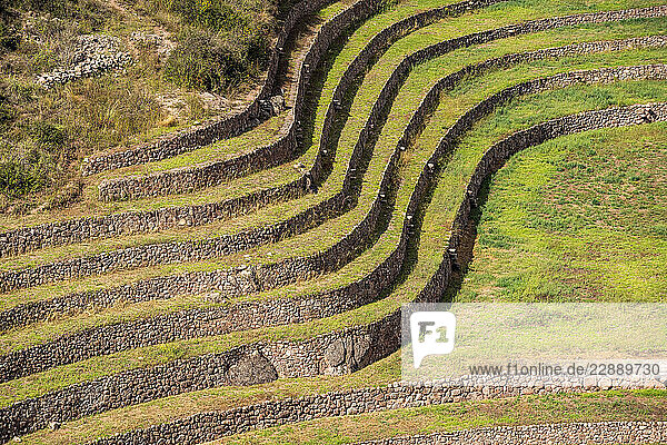 Terraced Inca ruins in Sacred Valley of the Incas