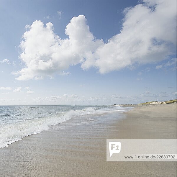 Madaket Beach  Nantucket Island