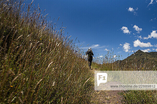 Rear view of woman hiking amid Incan ruins