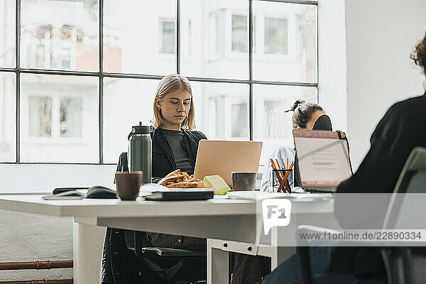 Concentrated female business entrepreneur using laptop while sitting at desk in office