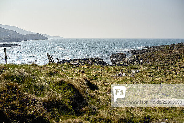 Coastal landscape with grassy hills  rocky shoreline  and calm blue sea under a clear sky. West coast Ireland