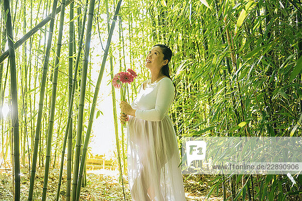 Pregnant woman holding flowers in a sunlit bamboo forest. WA  USA