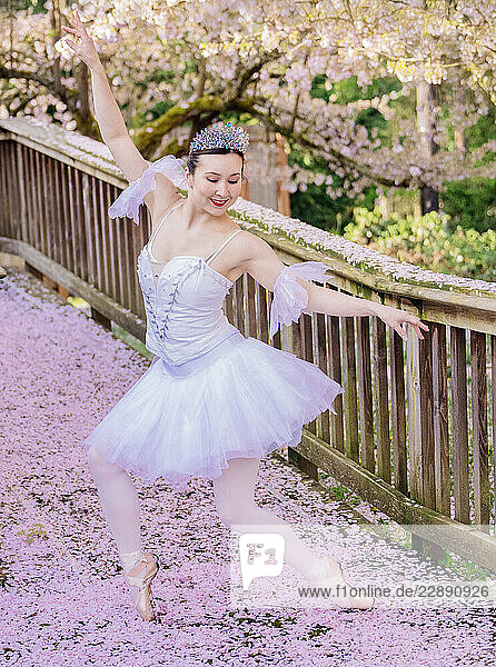 Ballerina in white tutu poses gracefully on a path covered with cherry blossom petals. WA  USA