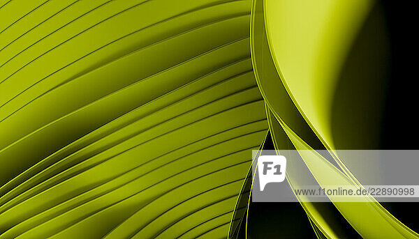 Abstract green and black geometric pattern with flowing curves and layered textures. Blender illustration