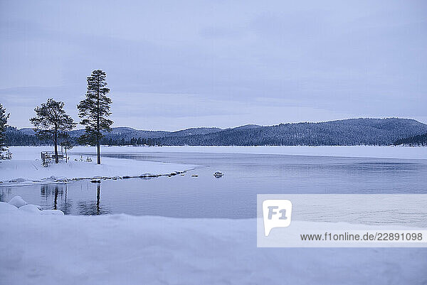 Snow-covered landscape with frozen lake and trees under an overcast sky. North Finland