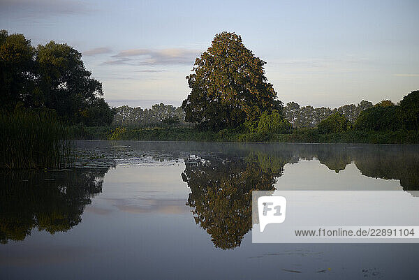 Calm lake reflecting trees and sky in a peaceful natural landscape. Mecklenburg Lake Plateau  Germany