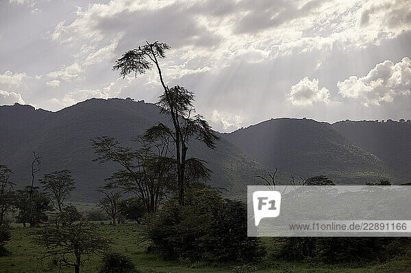 Sunrays filter through clouds over a lush green landscape with distant hills. Serengeti  Tanzania