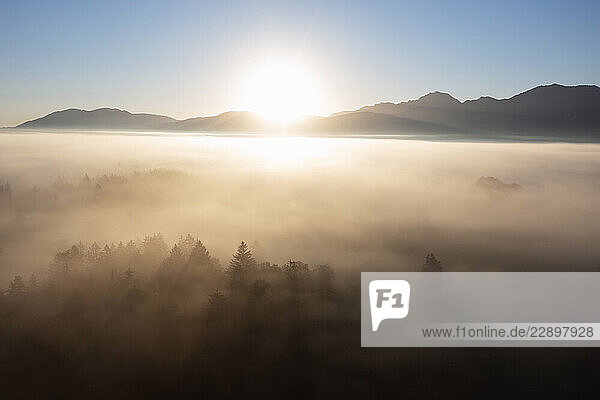 Germany  Bavaria  Bad Bayersoien  Aerial view of sun rising over foggy forest