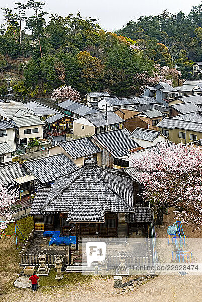 Village of Miyajima  on Itsukushima Island (Miyajima)  off Hiroshima  Japan