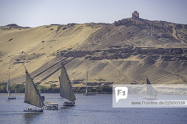 View of fellucas on the Nile river on a sunny day  Aswan  Nubia  Egypt  North Africa  Africa