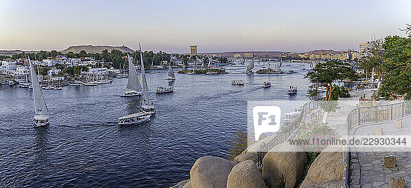 View of fellucas on the Nile river from Feryal Garden at dusk  Aswan  Nubia  Egypt  North Africa  Africa