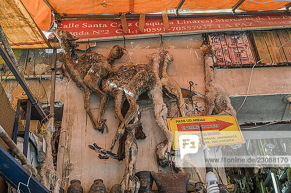 Dried llamas at the Witches Market in La Paz Bolivia
