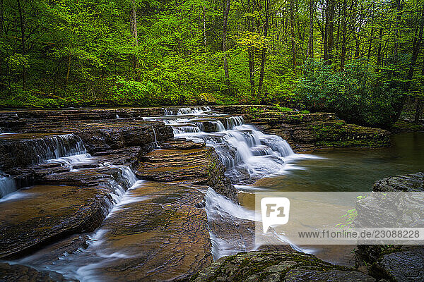 Cascades on Camp Creek in West Virginia with green forest