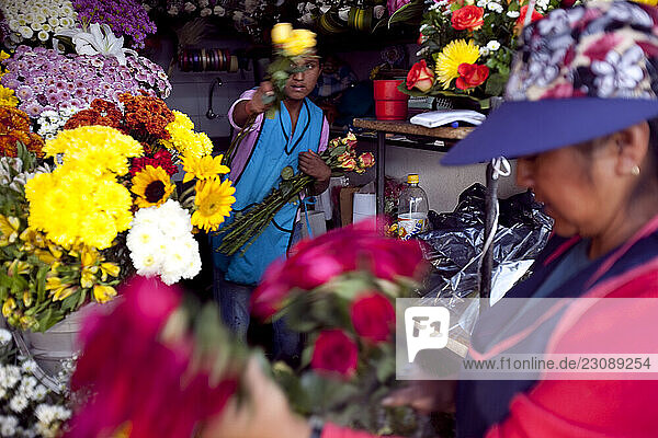 Flower markets prepare roses for valentines day in Quito Ecuador.