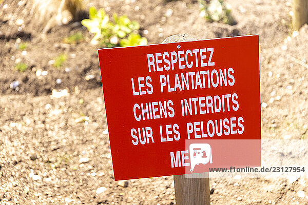 Poster where it is written: respect  plantations  dogs forbidden on the lawns. Thank you for your help.