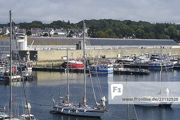 France. Bretagne. Finistère. Concarneau. La criée (ou la halle à marée) * France. Brittany. Finistere. Concarneau. The auction (or the fish market)