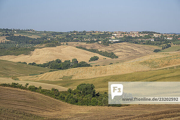 Typische toskanische Landschaft im Val d Orcia mit Hügeln  Bäumen  Feldern  Bauernhäusern und Zypressen im Sommer  Toskana  Italien  Europa