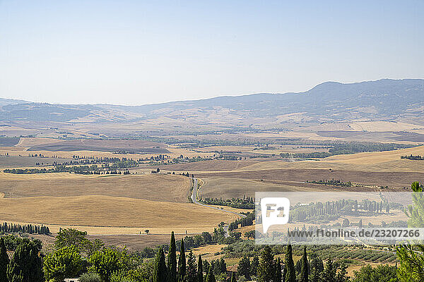Typische toskanische Landschaft im Val d Orcia mit Hügeln  Bäumen  Feldern  Bauernhäusern und Zypressen im Sommer  Toskana  Italien  Europa