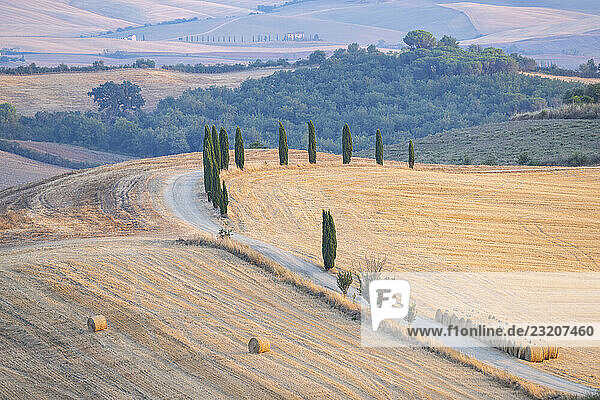 Typische toskanische Landschaft im Val d Orcia mit Hügeln  Bäumen  Feldern  Zypressen und Wirtschaftsweg im Herbst  Sonnenuntergang  Gladiator-Drehort  San Quirico d Orcia  Val d Orcia  Orcia-Tal  UNESCO-Weltkulturerbe  Provinz Siena  Toskana  Italien  Europa