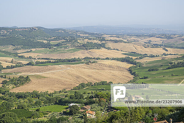 Typische toskanische Landschaft im Val d Orcia mit Hügeln  Bäumen  Feldern  Zypressen  Weinbergen und Wirtschaftswegen im Herbst  Toskana  Italien  Europa