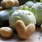 Different Sprouts